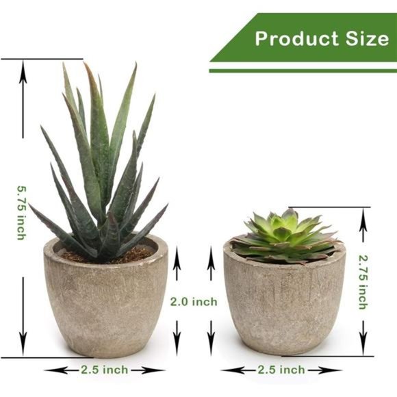 5 Pack Potted Artificial Succulent Plants Assorted Decorative Faux Fake Decor - Picture 4 of 6